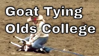 Goat Tying at Olds College Rodeo [upl. by Yeffej750]