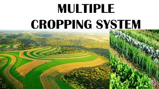 MULTIPLE CROPPING SYSTEM [upl. by Ahsinaw]