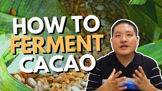 How to Ferment Cacao Beans [upl. by Nosmas]