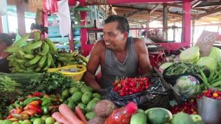 Real Guyana  Mon Repos Market 360  Part1 [upl. by Nyla]