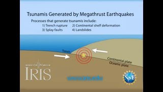 Tsunamis Generated by Megathrust Earthquakes [upl. by Nehtiek]