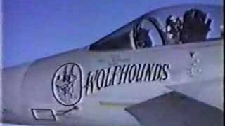 F15 Wolfhounds 32nd Tactical Fighter Squadron Soesterberg [upl. by Darreg]