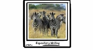 Expository Writing Primary [upl. by Athelstan458]