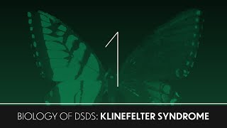 Biology of DSDs 1 Klinefelter Syndrome [upl. by Sibyls99]