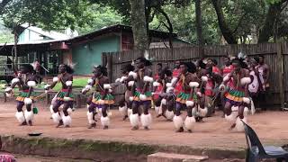 This is Swaziland Traditional Swazi dance [upl. by Albina]