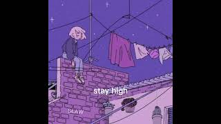 SŁAW  STAY HIGH remix [upl. by Tacklind204]