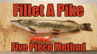 Fillet Pike with NO BONES StepbyStep [upl. by Iene]