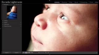 Lightroom 5 Cómo hacer Zoom en Lightroom [upl. by Raasch]