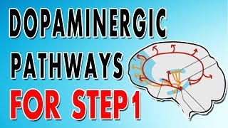 Dopaminergic Pathways [upl. by Ydnew]