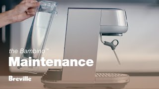 The Bambino™  How to clean your machine with ease  Breville USA [upl. by Renraw16]