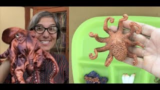 Life Cycle  Octopus  Kids  Science  Read Aloud  Story [upl. by Ellennod]