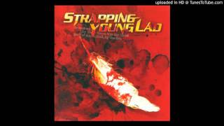 Strapping Young Lad  Rape Song [upl. by Eeimaj]