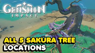 All 5 Sakura Tree Locations In Genshin Impact Sakura Arborism World Quest Guide [upl. by Britta]