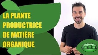 COURS DE TERMINALE SPÉCIALITÉ SVT CHAP9 LA PLANTE PRODUCTRICE DE MATIÈRE ORGANIQUE  Bio Logique [upl. by Ahsimac]