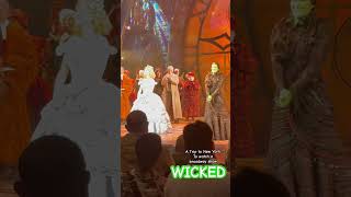 WICKED THE MUSICAL Broadway Show NY [upl. by Favin]