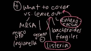 4 Basic Steps in Choosing Antibiotics [upl. by Eeznyl]