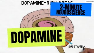 2Minute Neuroscience Dopamine [upl. by Nellek]