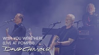 David Gilmour  Wish You Were Here Live At Pompeii [upl. by Letsirk]