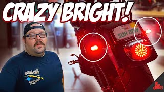 HOW TO LED Tail Light Install  Remove Stock Tails  Harley Softail [upl. by Zailer671]