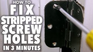 Fix Stripped Screw Holes  3 MINUTE FIX [upl. by Arreyt]