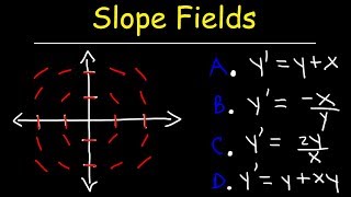 Slope Fields  Calculus [upl. by Theresa648]