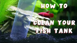 HOW TO CLEAN A FISH TANK  the right way [upl. by Acirt]