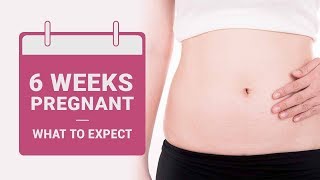 6 Week Pregnant  What to Expect [upl. by Naffets563]