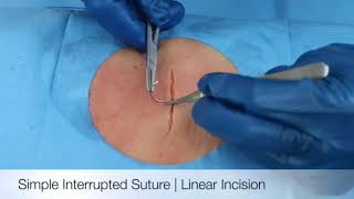 Surgical sutures and ligatures  An overview [upl. by Eldnik]