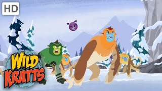 Wild Kratts  ANIMALS Attack  SnubNosed Monkey [upl. by Nomrac476]