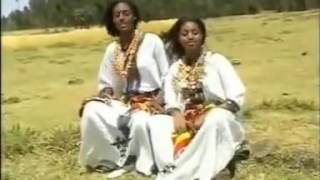 Ethiopian Music׃Manalemosh Dibo [upl. by Pearse]