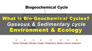 What is Biogeochemical cycles  Environment amp Ecology [upl. by Esyak]