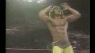 Ravishing Rick Rude [upl. by Toms]