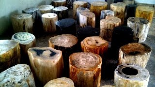 Petrified Wood Prices [upl. by Enahpets]