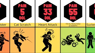 Comparison Human Pain [upl. by Latsyrd]