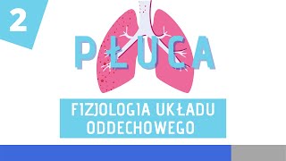 Fizjologia układu oddechowego cz 2 [upl. by Ttenrag739]