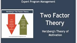 Two Factor Theory  Herzbergs Theory of Motivation [upl. by Enaxor]