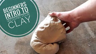 Beginners Intro to Wedging your Clay [upl. by Rizas822]