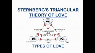 Sternbergs Triangular Theory of Love and its types  The Simplest Explanation Ever [upl. by Wilona799]