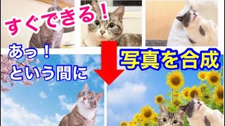 超簡単！写真の切り抜きや不要な箇所を削除できる！初心者でもあっという間に完成！【全て無料で可能】 [upl. by Deery166]