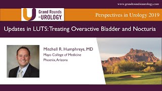 Updates in LUTS Treating Overactive Bladder and Nocturia [upl. by Brien]