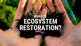 What is ecosystem restoration [upl. by Kathleen]