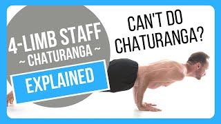 How To Properly Do Chaturanga Dandasana [upl. by Liemaj737]