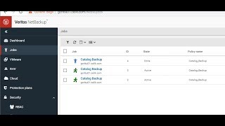 How to Backup Veritas NetBackup 82 Catalog [upl. by Arst]