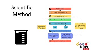 The Scientific Method Steps and Examples [upl. by Eenitsed]