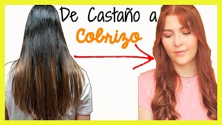 Cómo PINTAR el cabello COBRIZO💆‍♀️ SIN DECOLORAR 👩‍🦰 [upl. by Ahsimet]