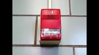 Fire Alarm  Edwards EST Genesis Horn Strobe [upl. by Herstein]