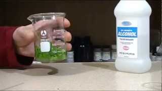 Extracting chlorophyll [upl. by Ecahc]