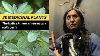 30 Medicinal Plants The Native Americans Used On a Daily Basis  Blissed Zone [upl. by Gabi837]