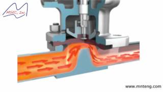 Diaphragm Valve Operation Demonstration [upl. by Ntsuj]