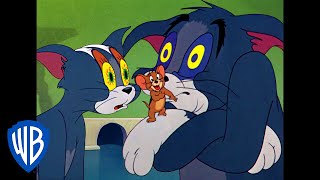 Tom amp Jerry  Sleepy Tom  Classic Cartoon  WB Kids [upl. by Rosalynd]